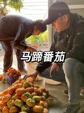 山西爸爸吃瓜视频,揭秘民间趣味生活瞬间