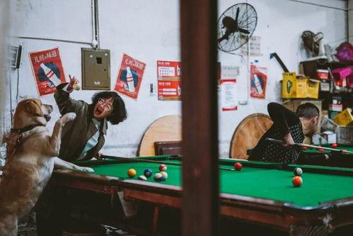 台球室吃瓜视频,揭秘台球圈里的那些事儿