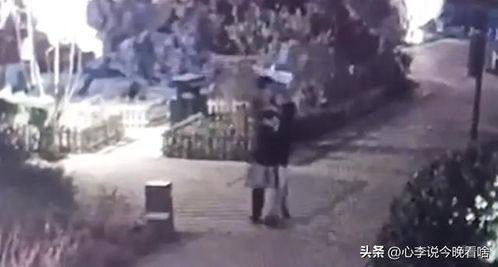 深圳平湖吃瓜事件视频曝光,视频曝光引发社会关注