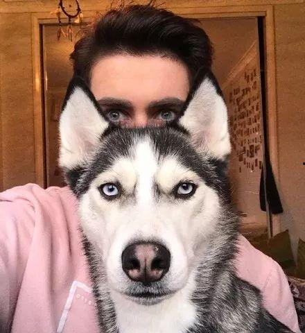 二哈吃瓜汁视频